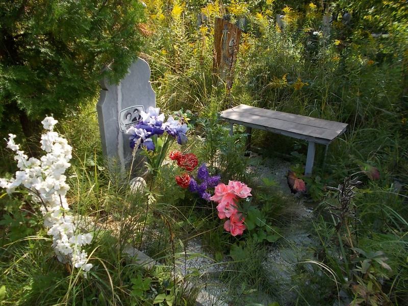 Красильникова Софья Сергеевна