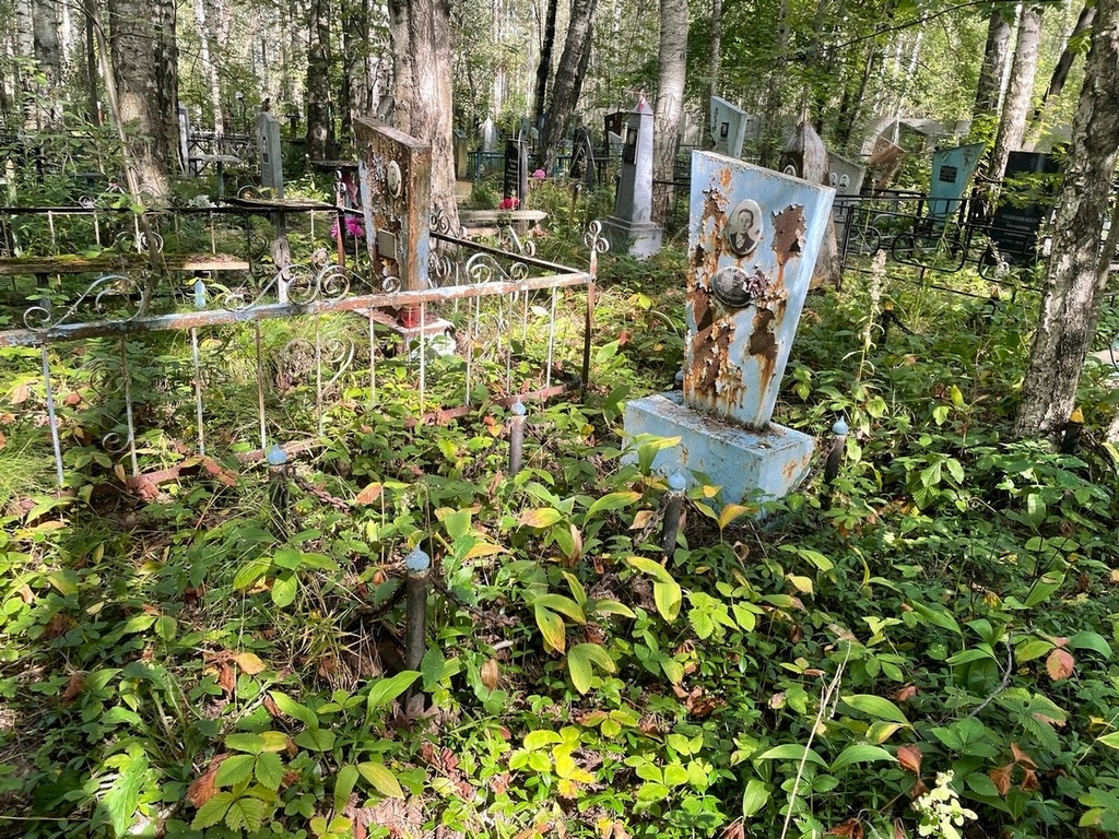 Голонеев Василий Михайлович