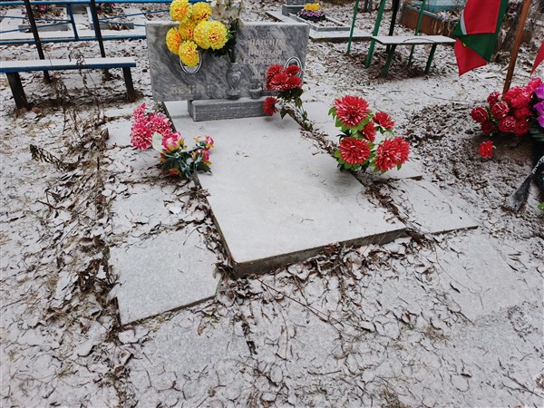 Звонарёва Анна Ивановна