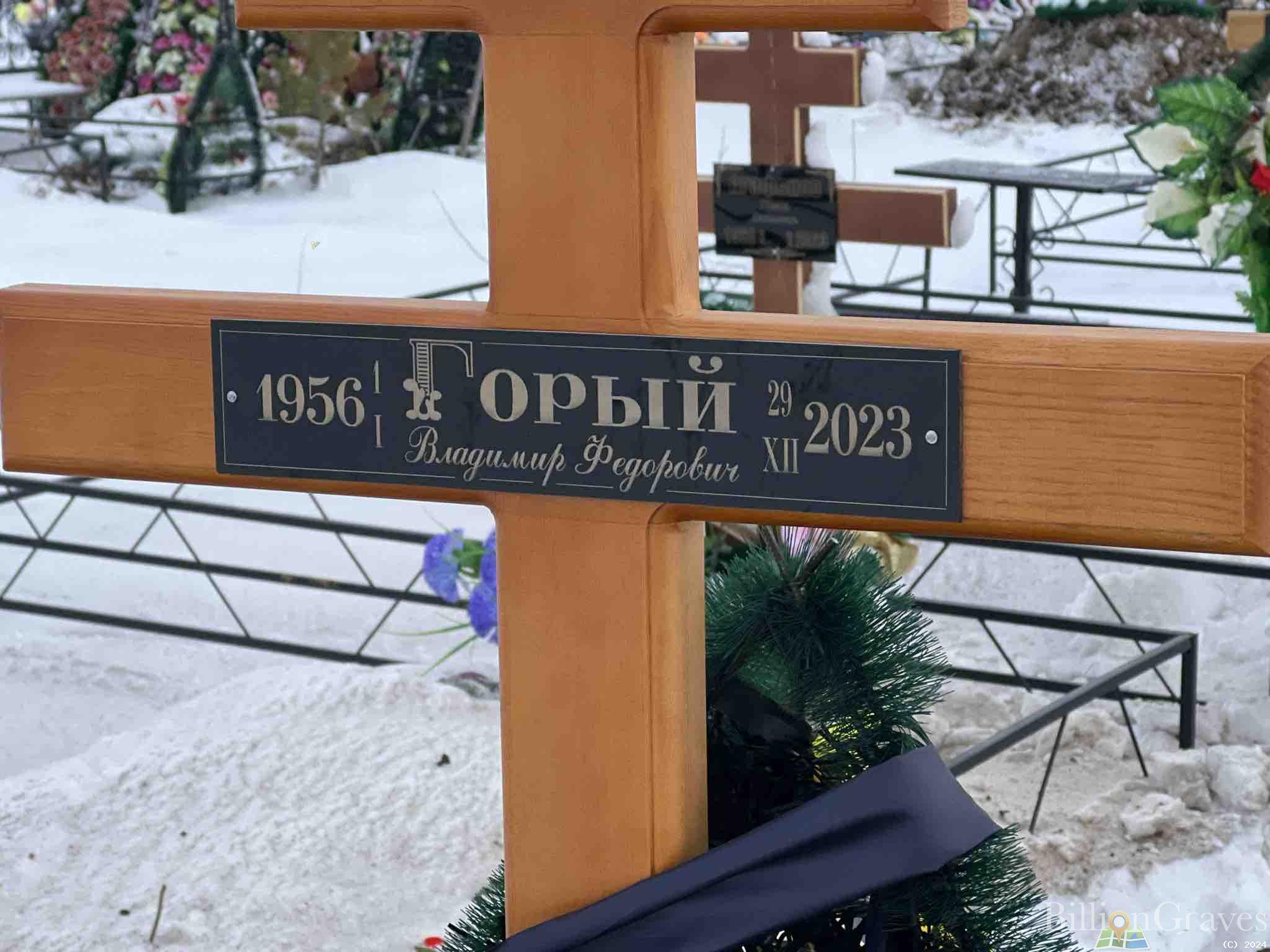 Горый Владимир Федорович