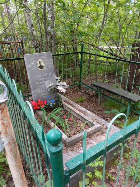 Дылдин Михаил Деомидович