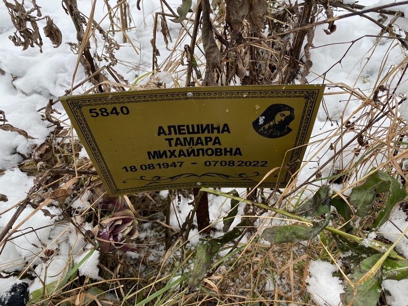 Алешина