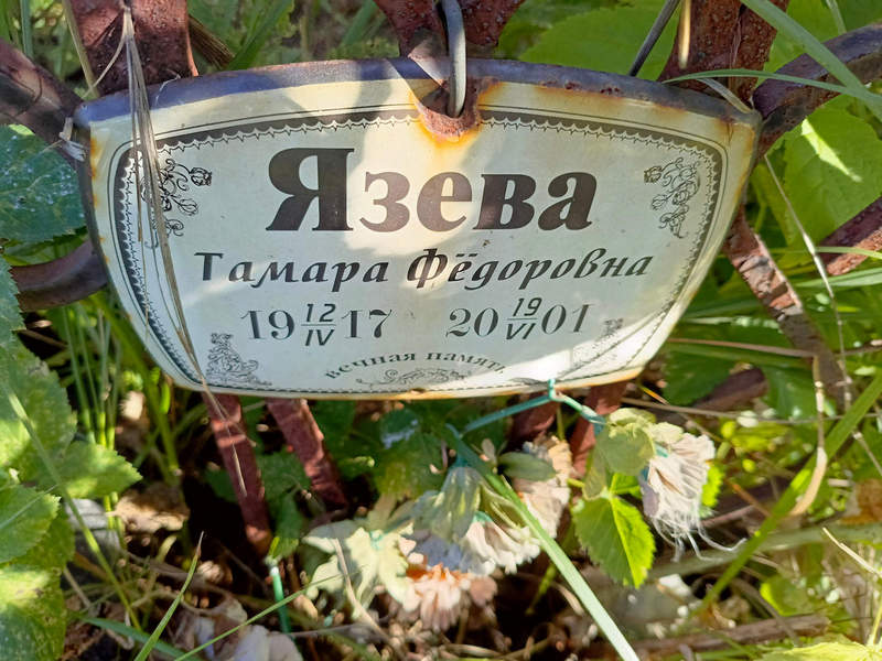Язева