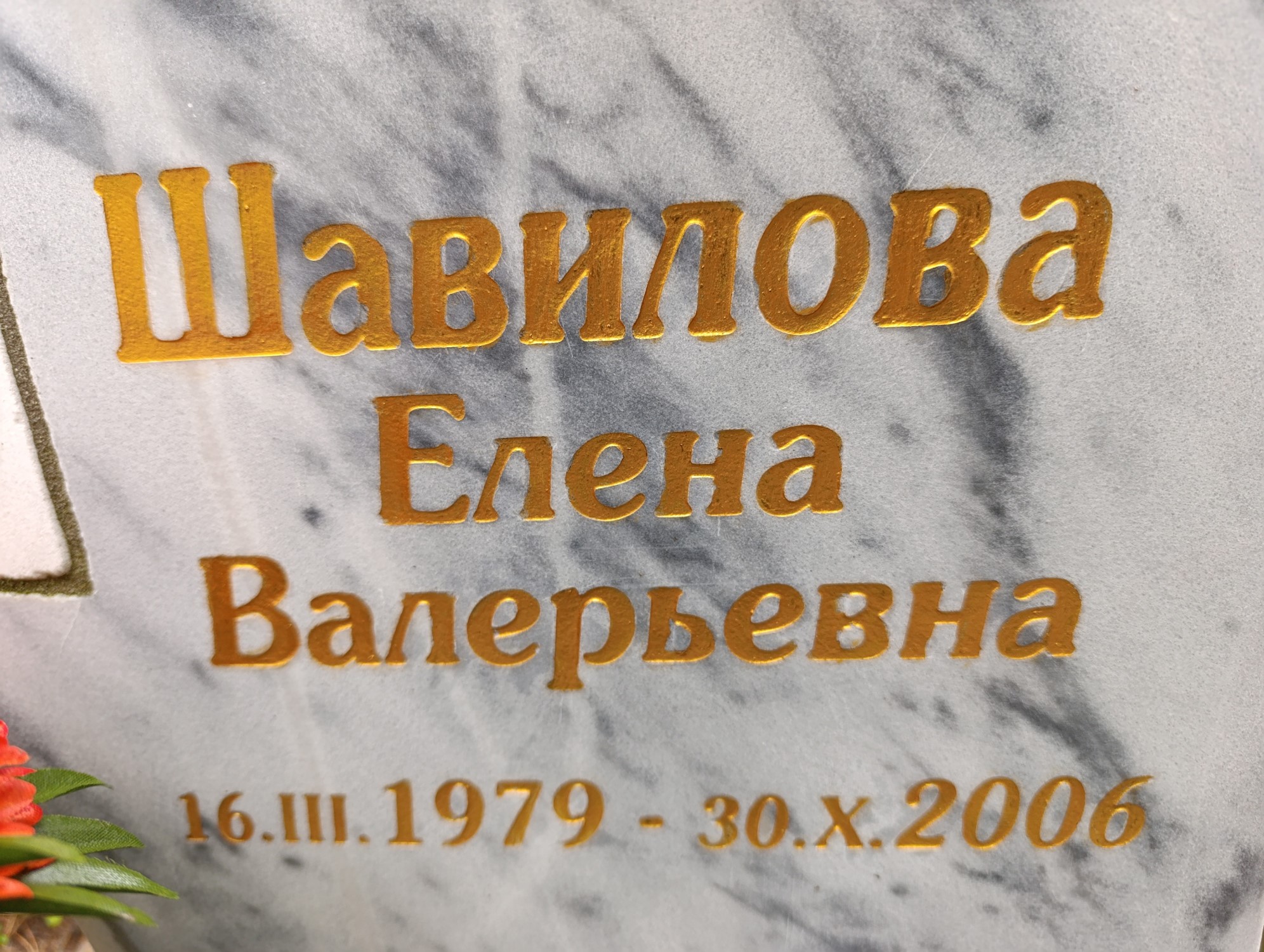 Шавилова Елена Валерьевна