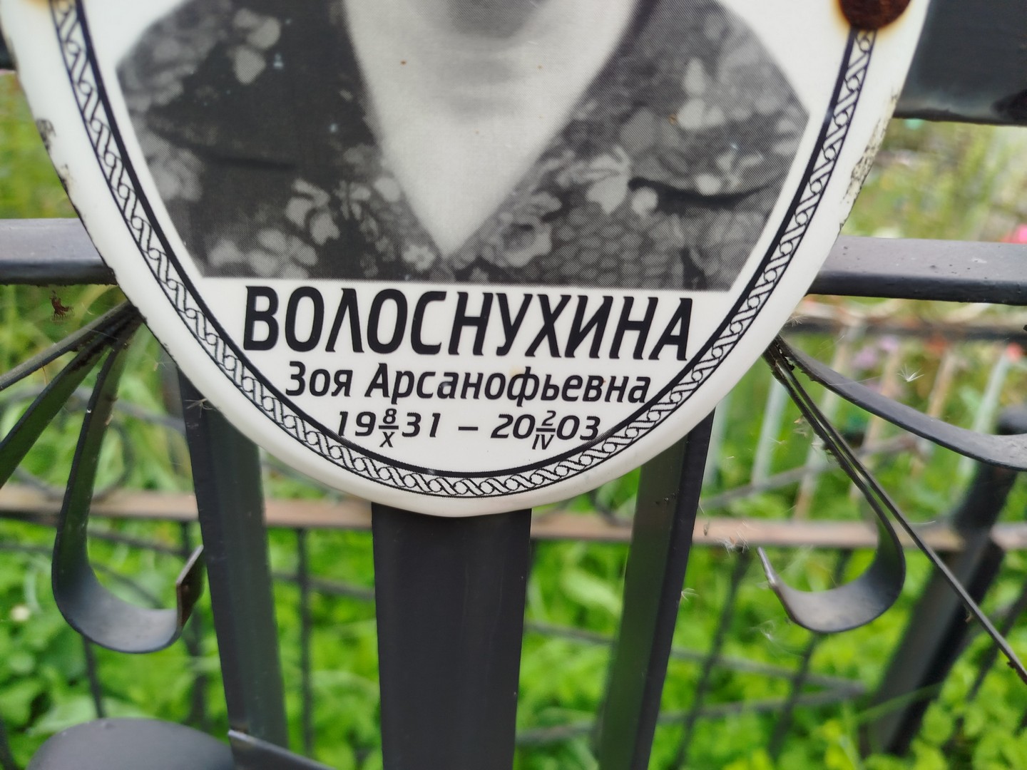 Волоснухина