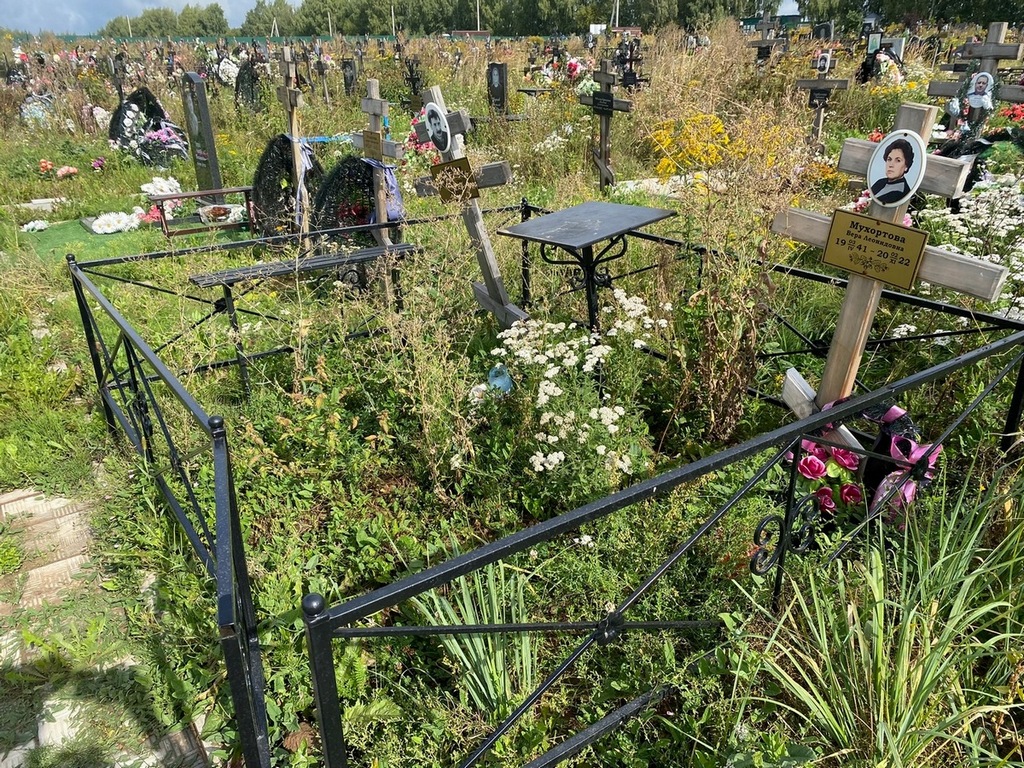 Мухортов Вадим Александрович