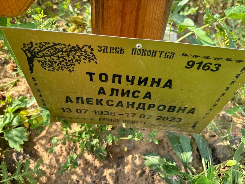 Алиса Топчина Александровна
