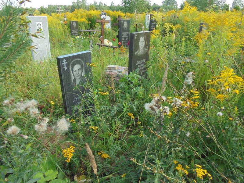 Дударева Стелла Семеновна