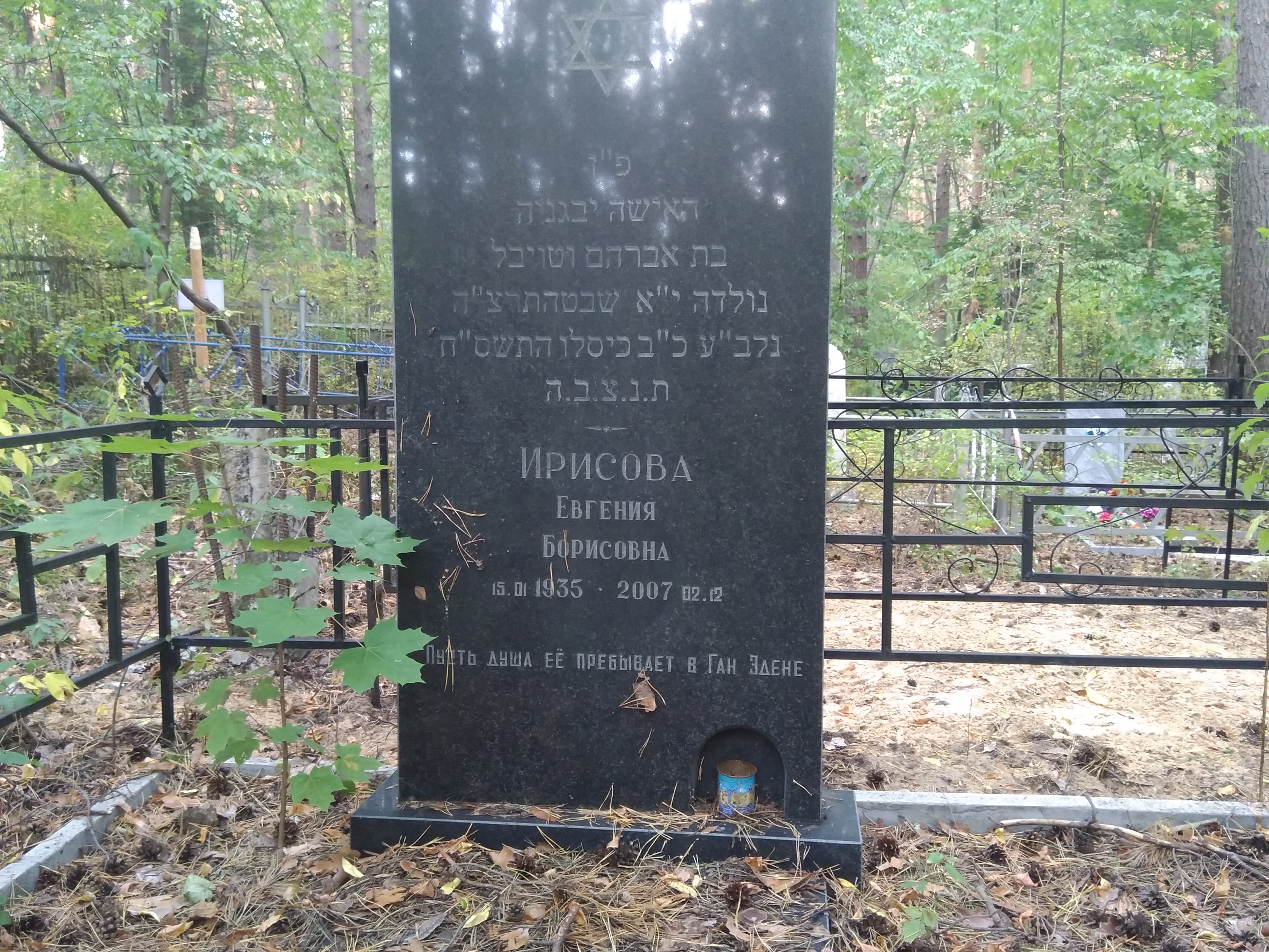 Ирисова Евгения Борисовна