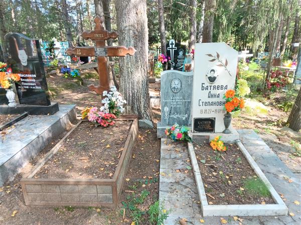 Батяев Александр Васильевич