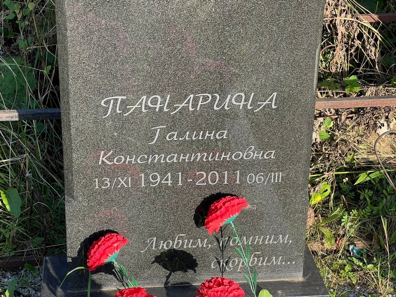 Панарина
