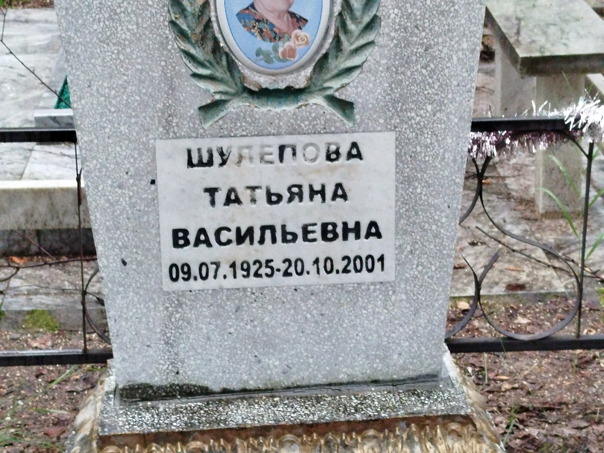 Шулепова Татьяна Васильевна