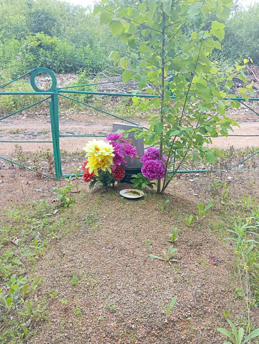 Сединко Анатолий Михайлович