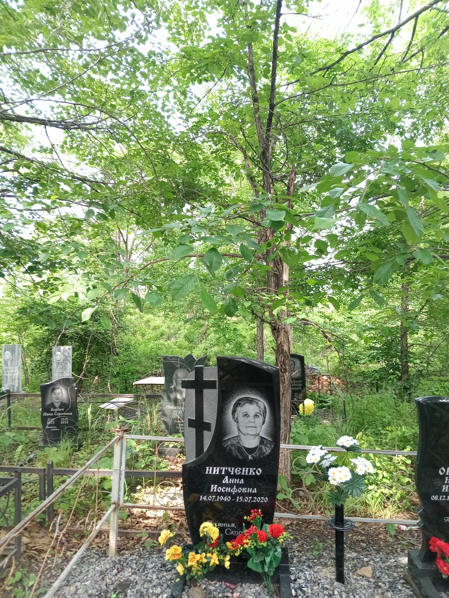 Нитченко Анна Иосифовна