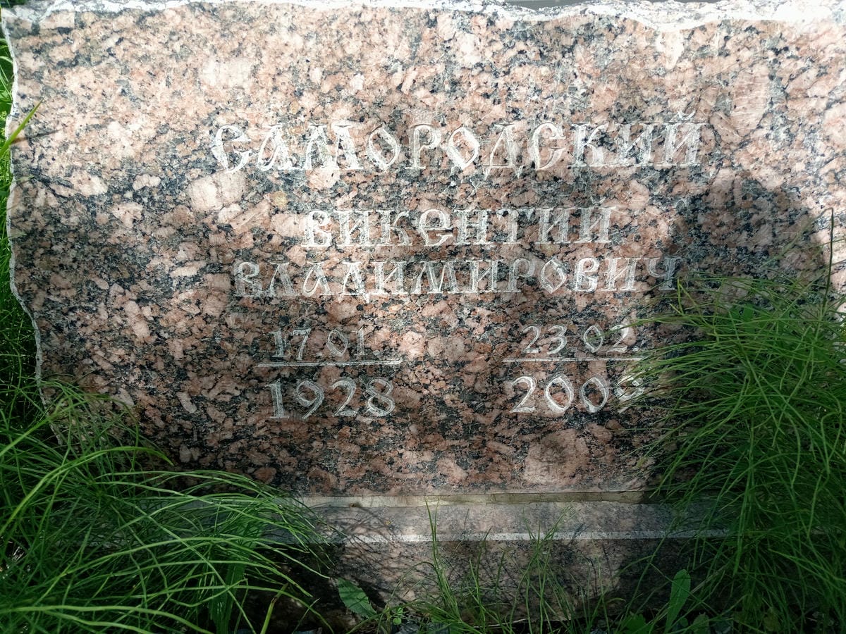 Самородский Викентий Владимирович