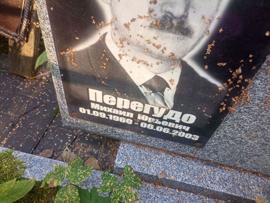 Перегудо Михаил Юрьевич