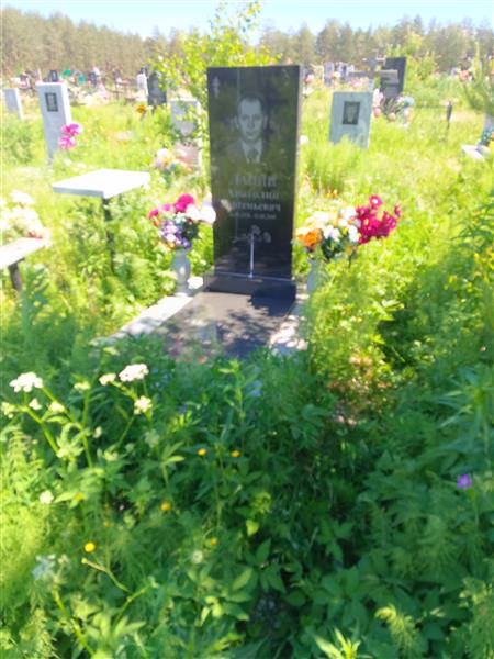 Лапин Анатолий Артемьевич