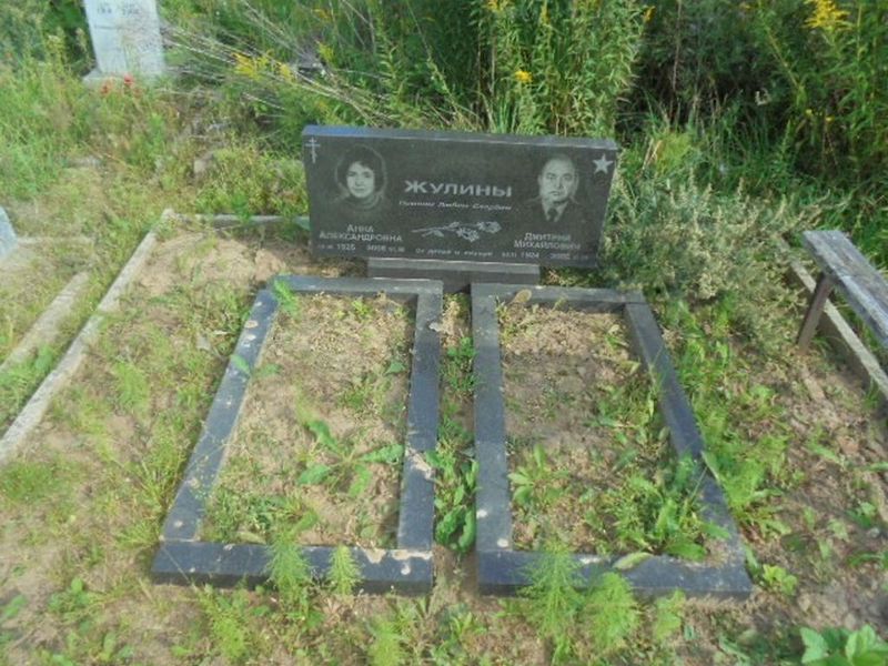 Жулин Дмитрий Михайлович