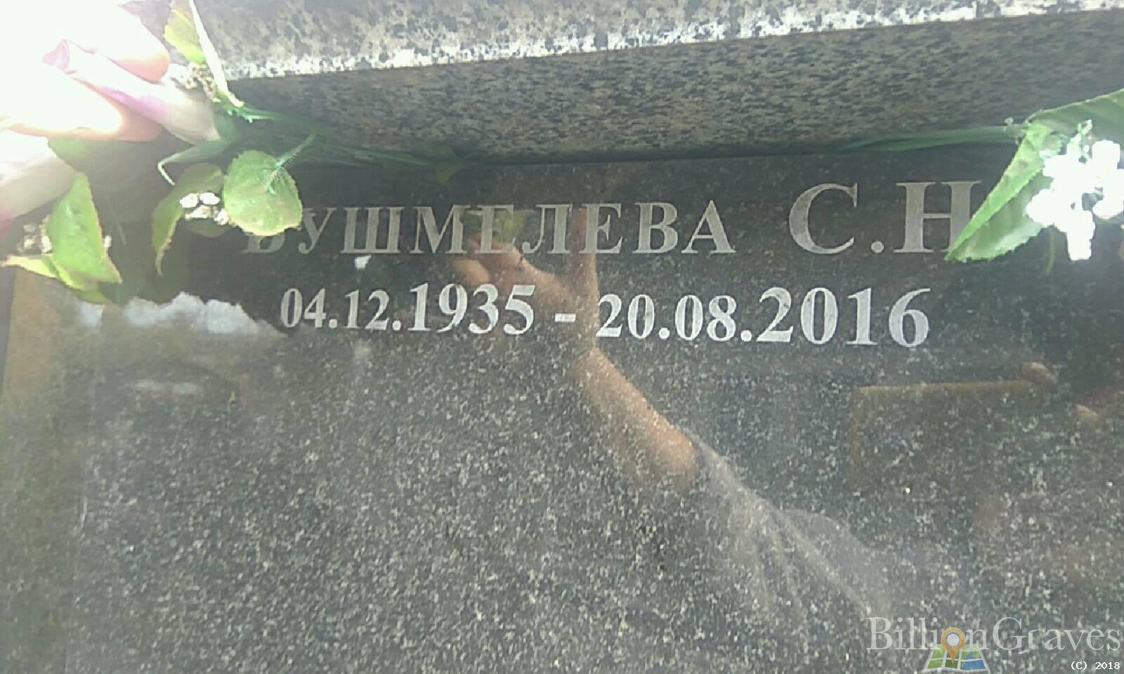 Бушмелева С Н