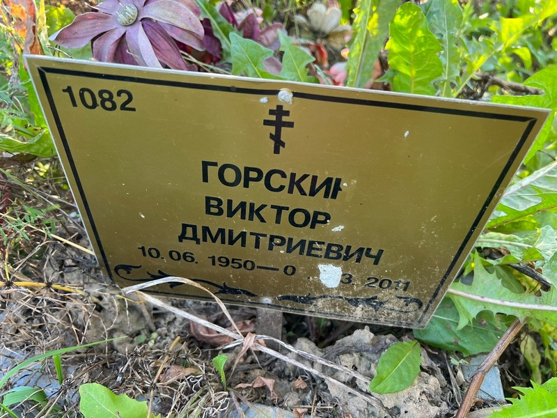 Горскин