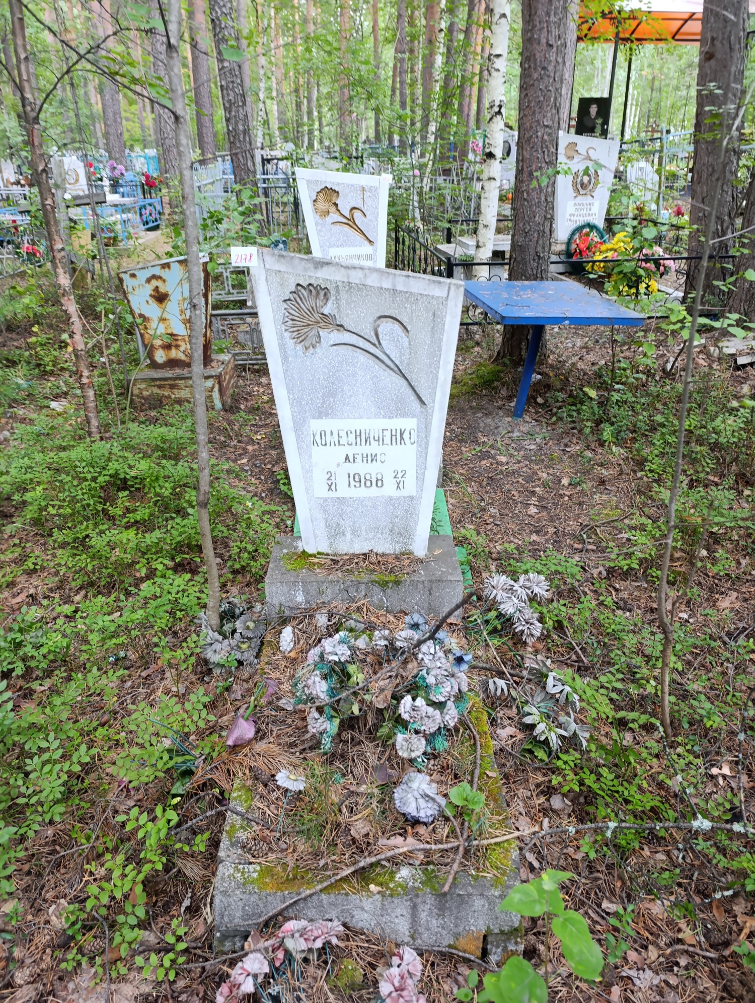 Колесниченко Денис