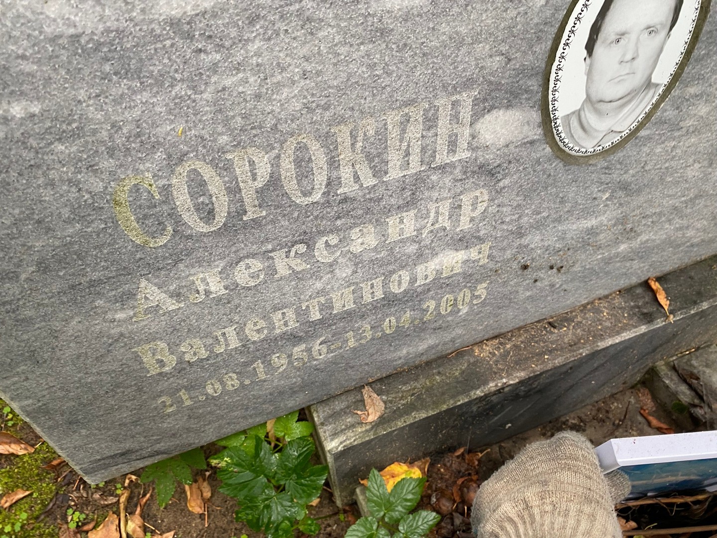 Сорокин