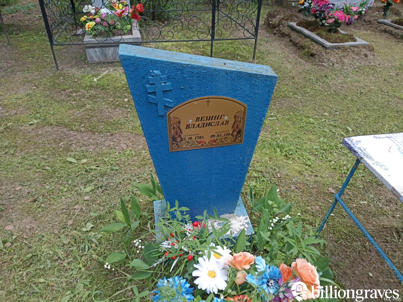 Везинг Владислав