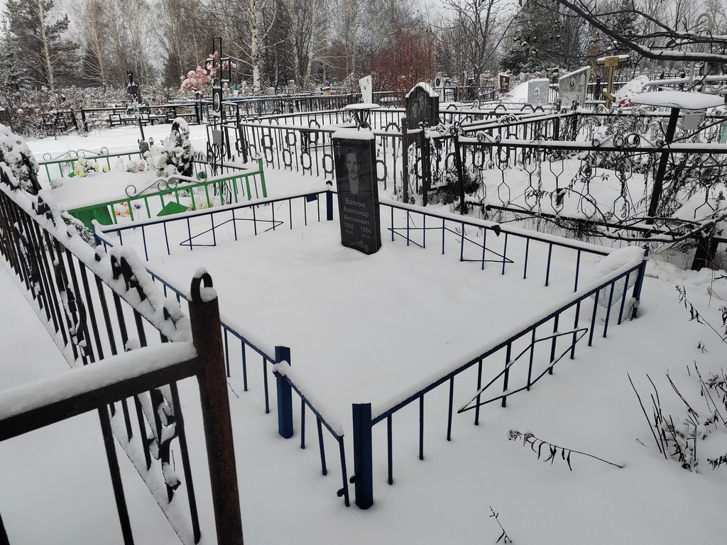 Вапник Александр Антонович