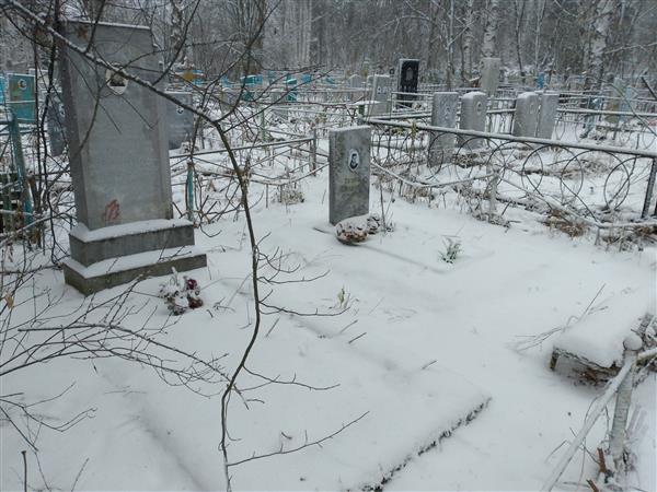 Шевченко Татьяна Семеновна