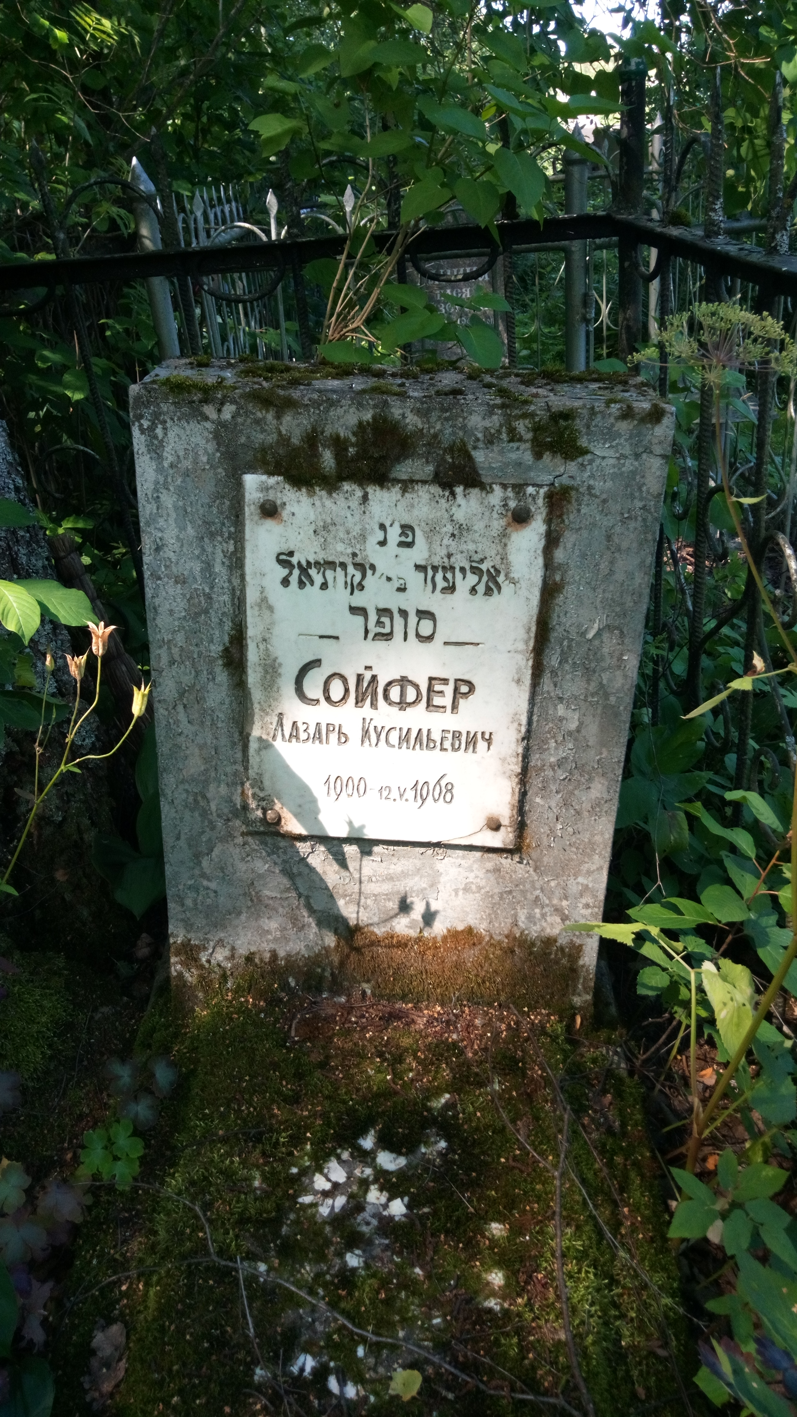 Сойфер Лазарь Кусильевич