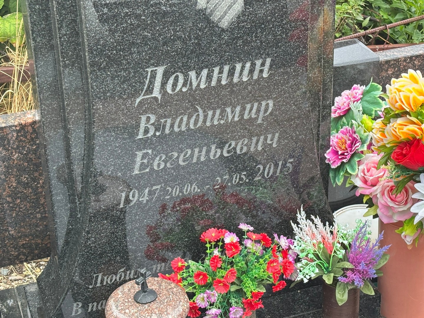 Домнин