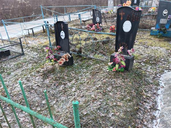 Вылегжанин Анатолий Георгиевич