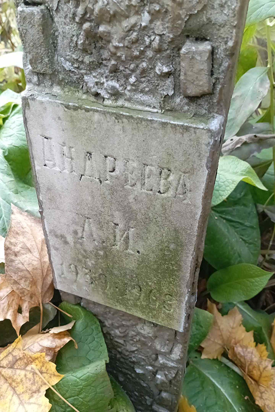Андреева Л. И.