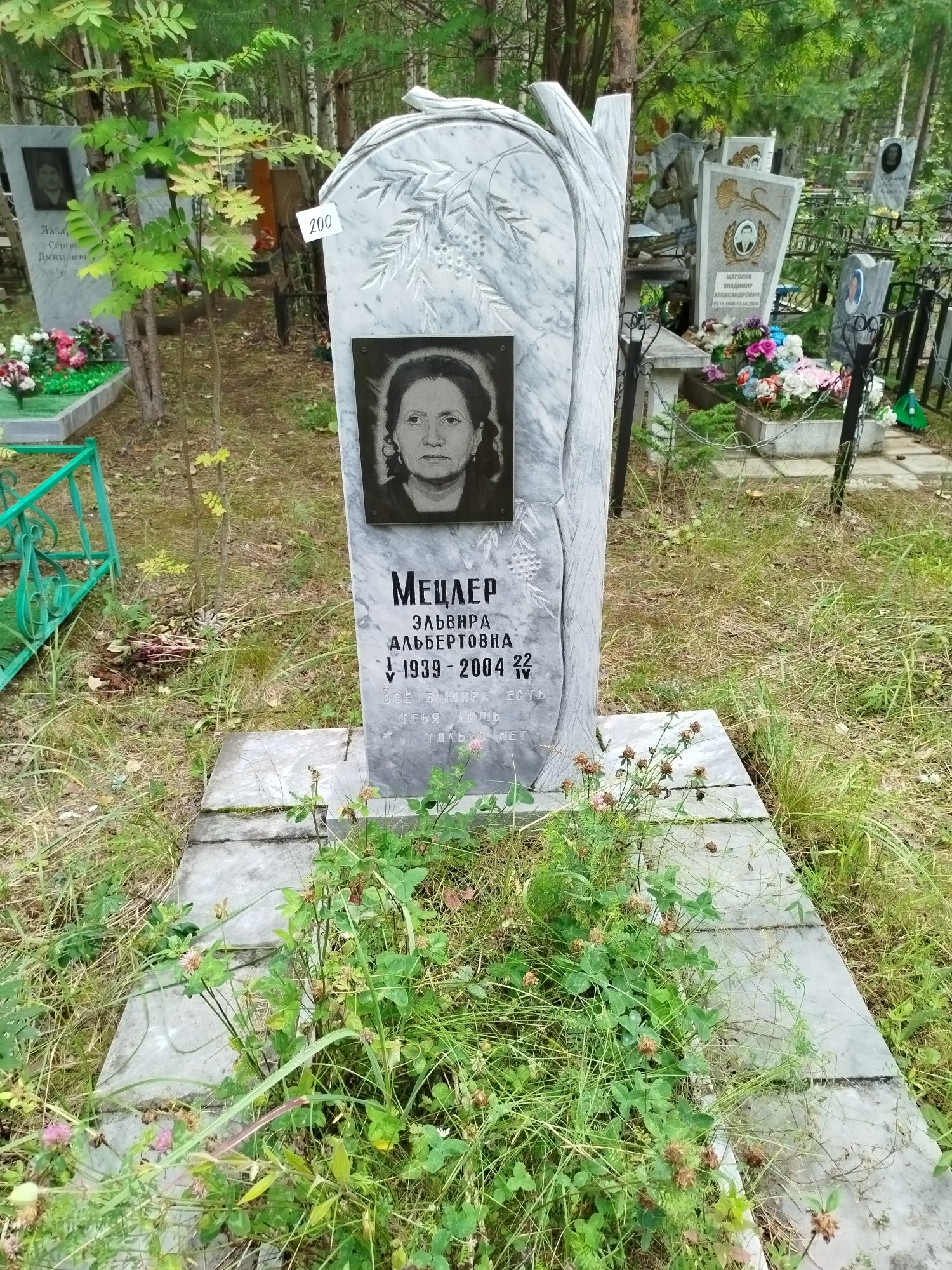 Мецлер Эльвира Альбертовна