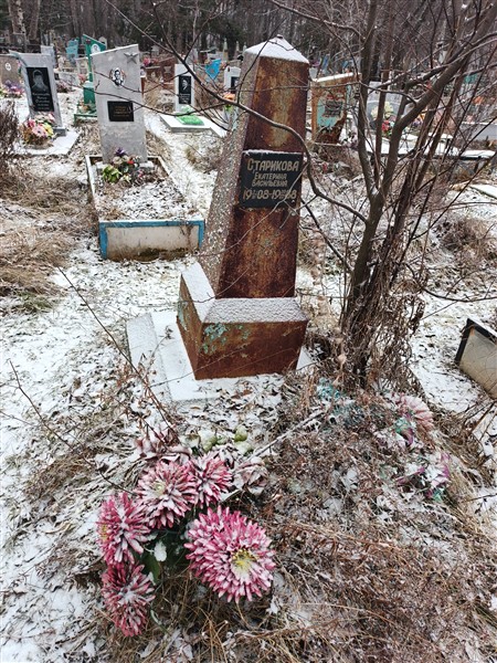 Старикова Екатерина Васильевна