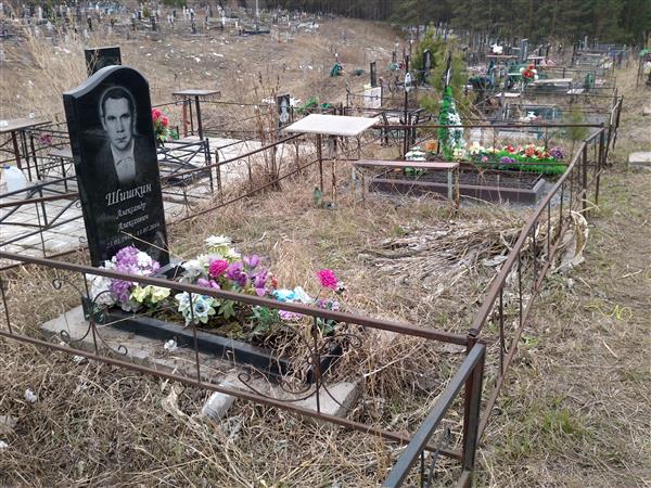 Шишкин Александр Алексеевич
