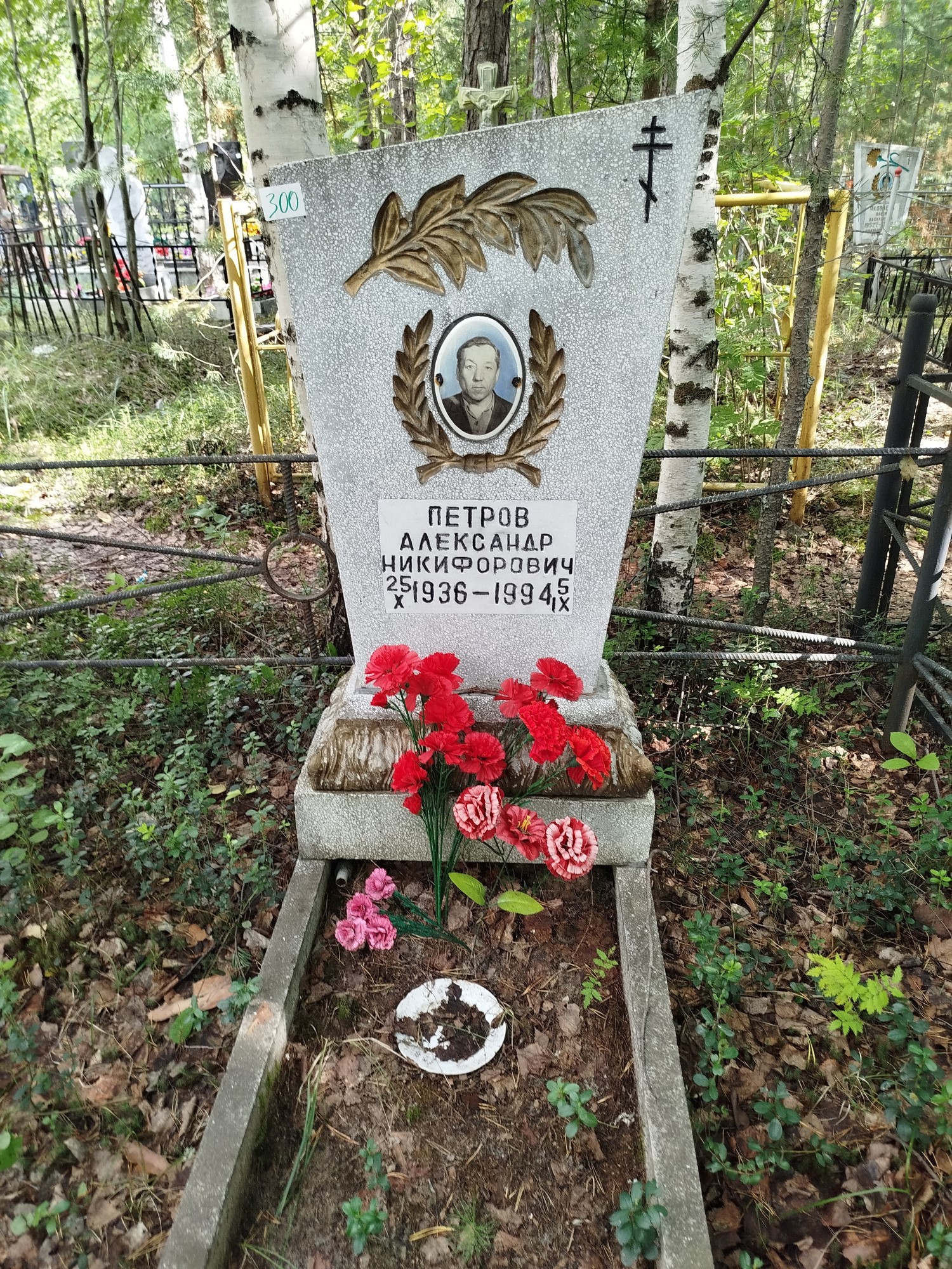 Петров Александр Никифорович