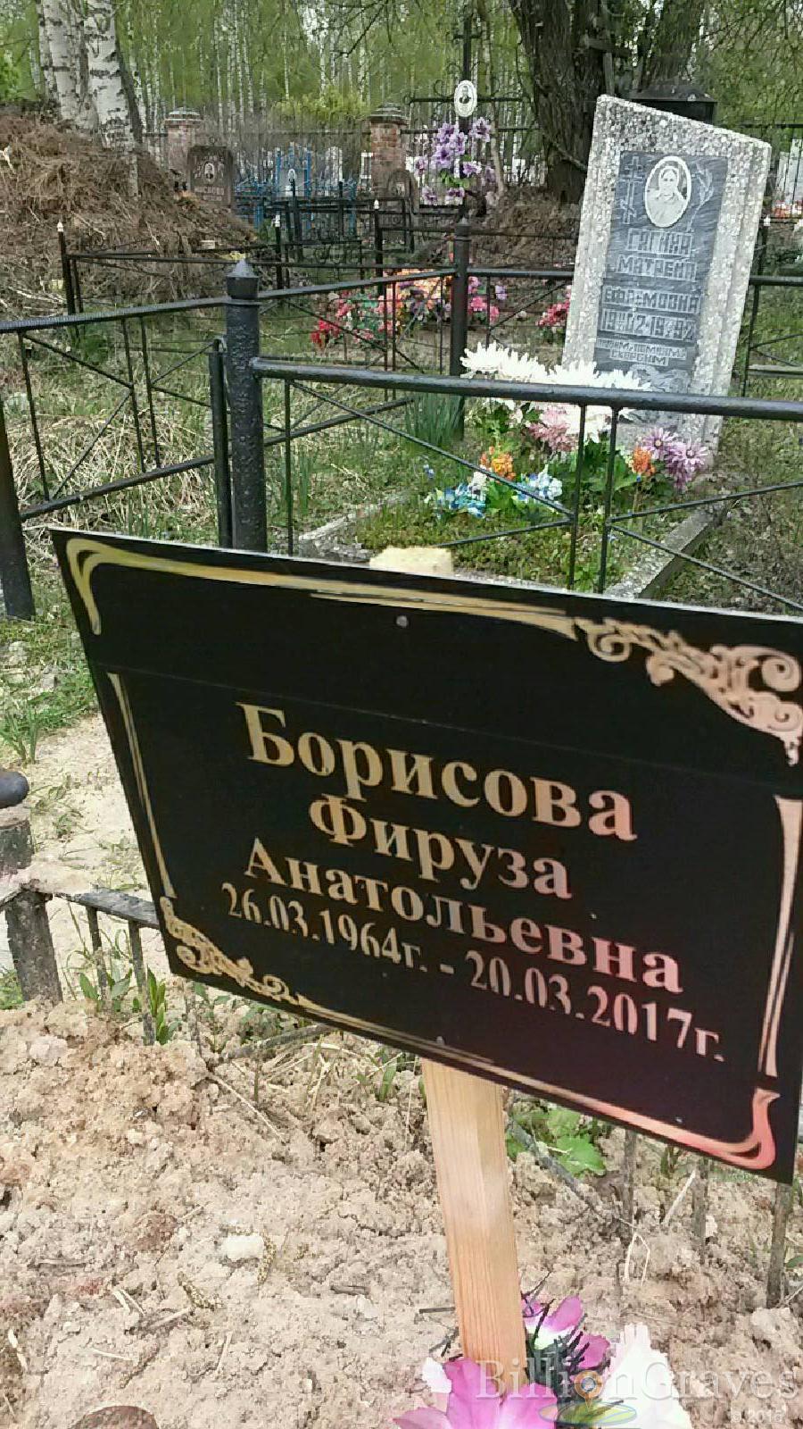 борисова фируза анатольевна