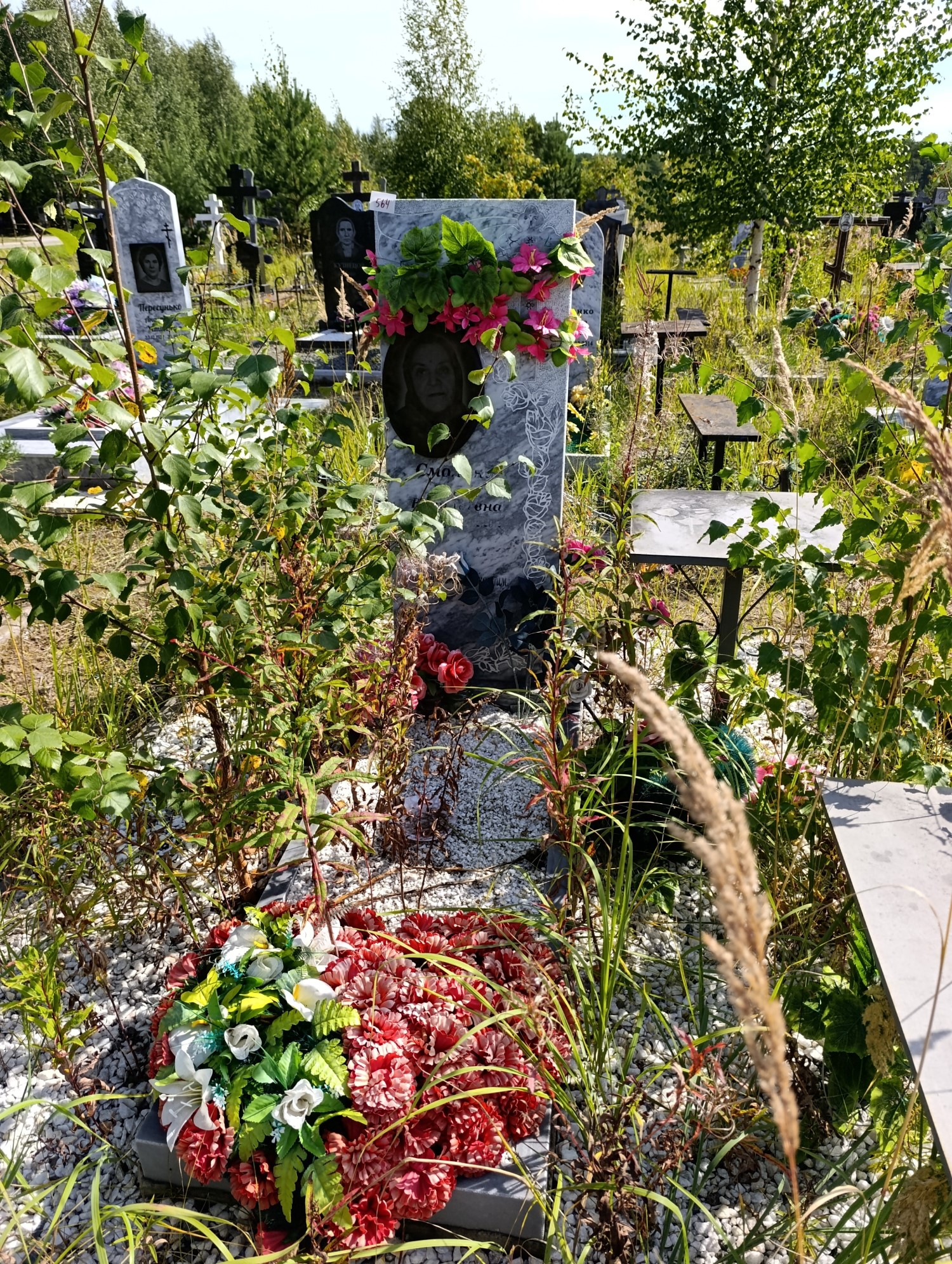 Смолина Елена Васильевна