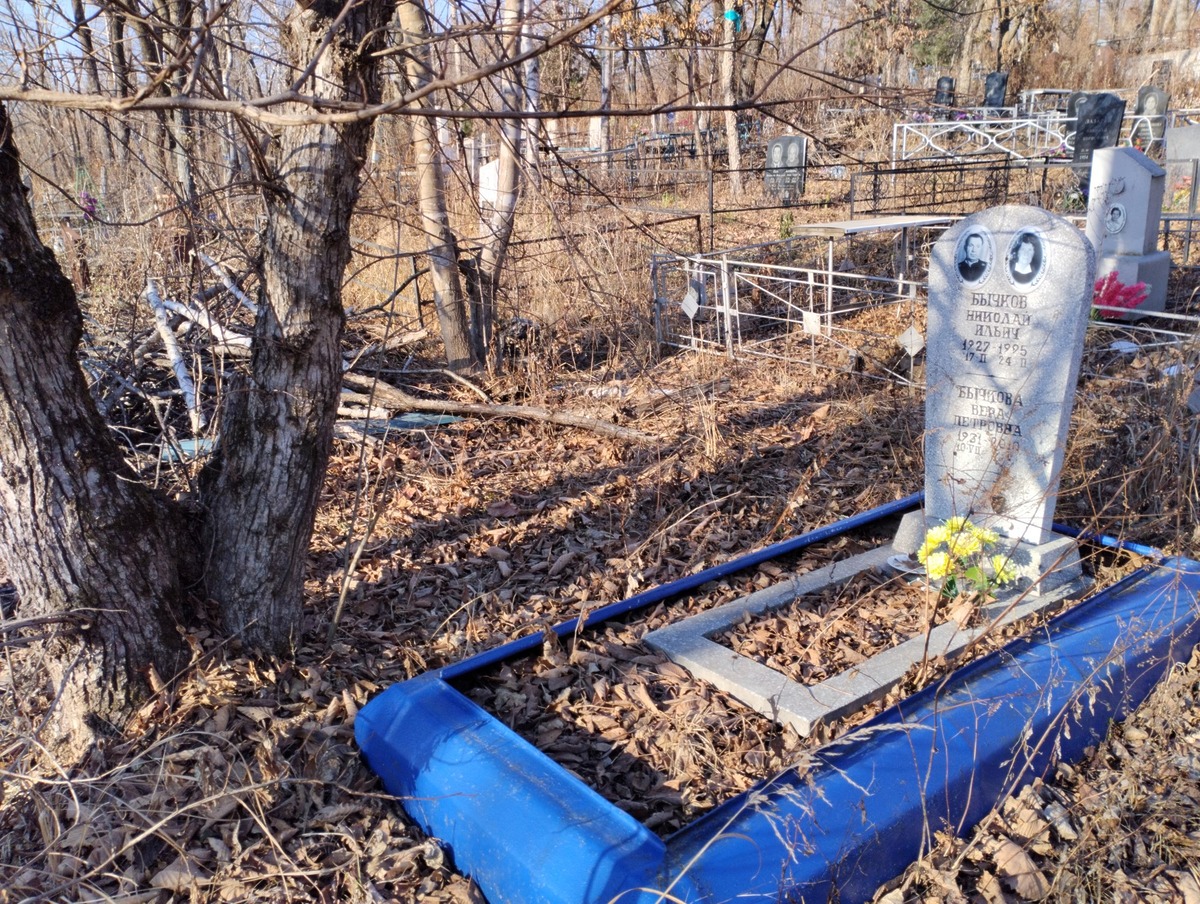 Бычков Николай Ильич