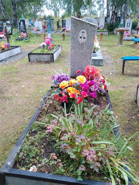 Ушенин Николай Александрович