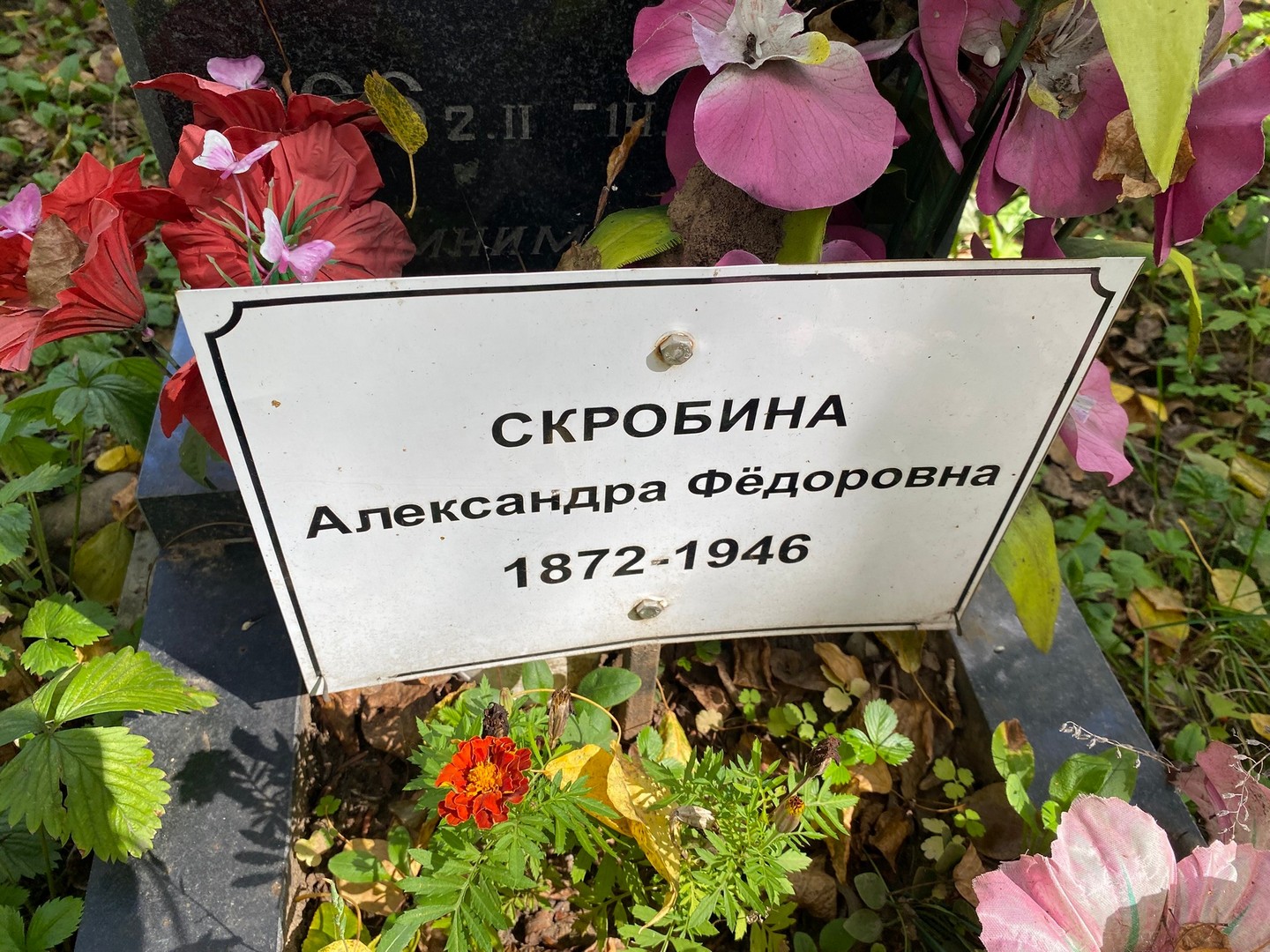 Скробина Александра Федоровна