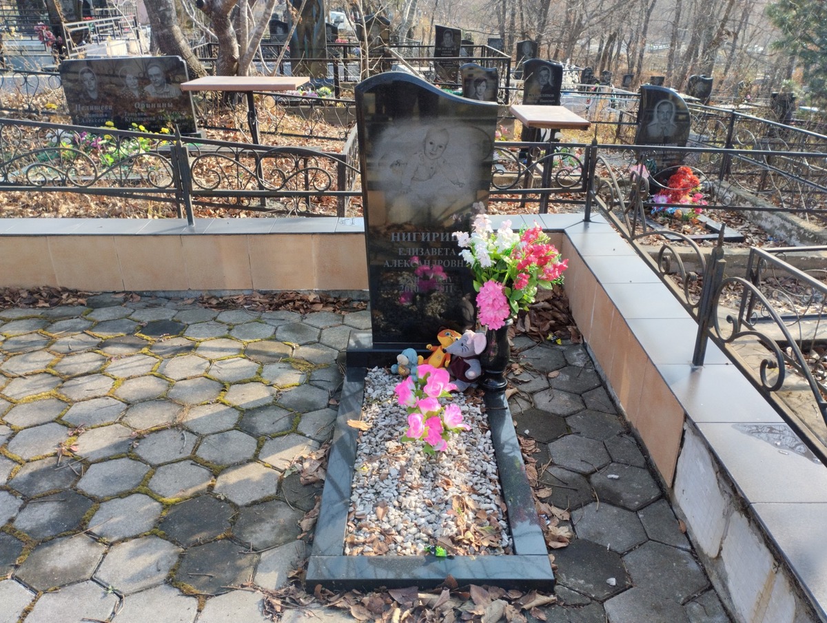 Нигириш Елизавета Александровна