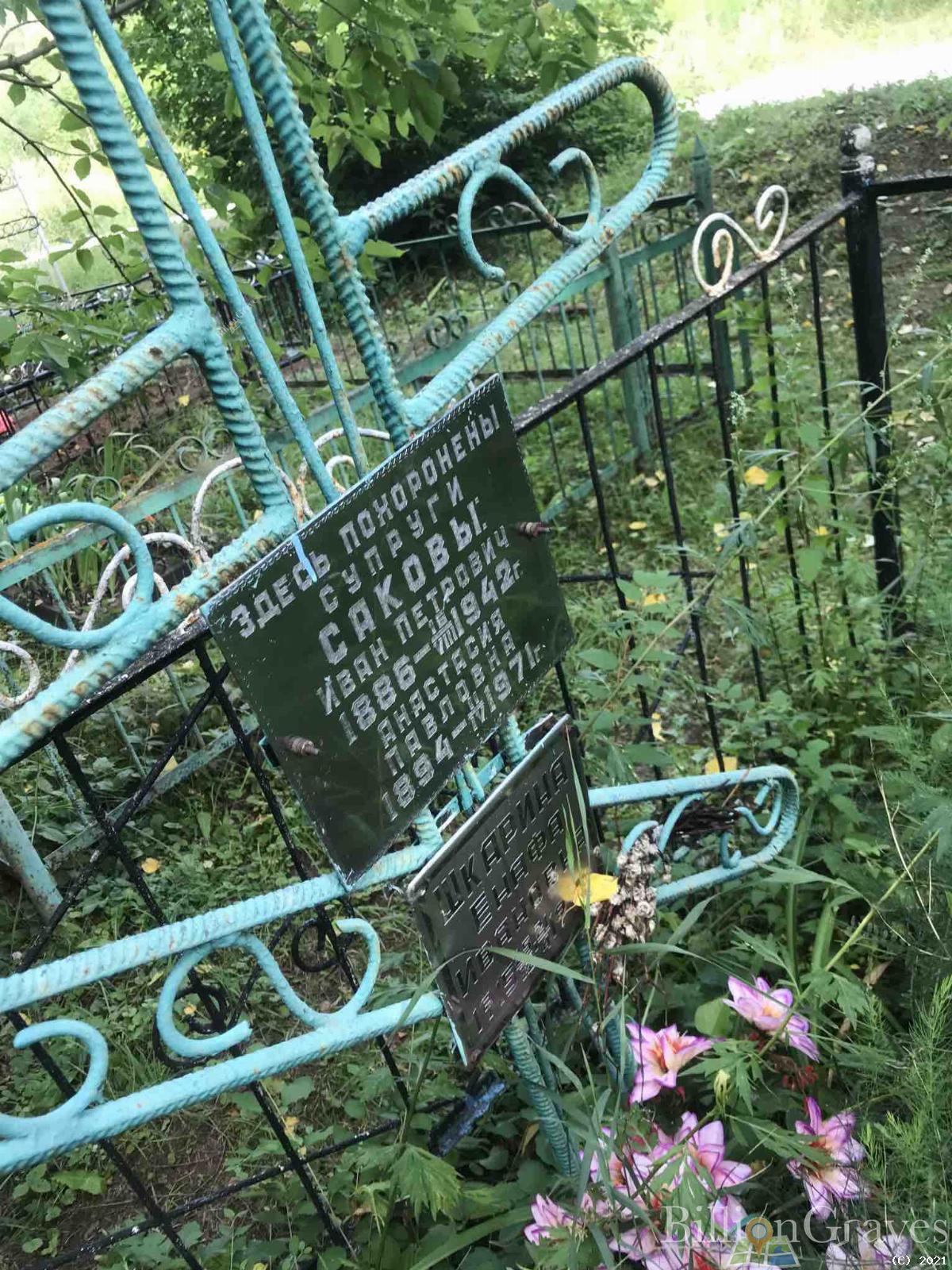 Сакова Анастасия Павловна