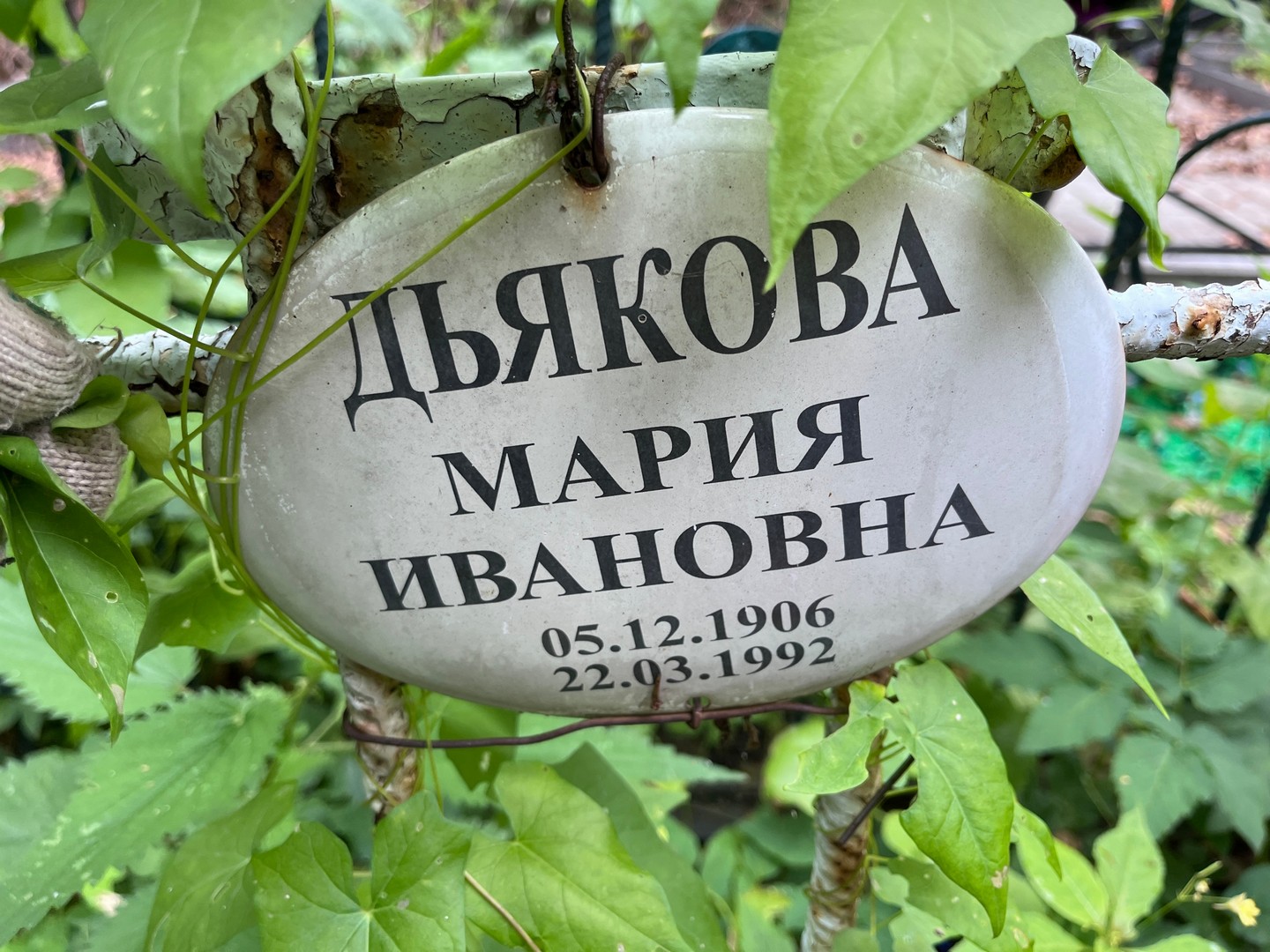 Дьякова
