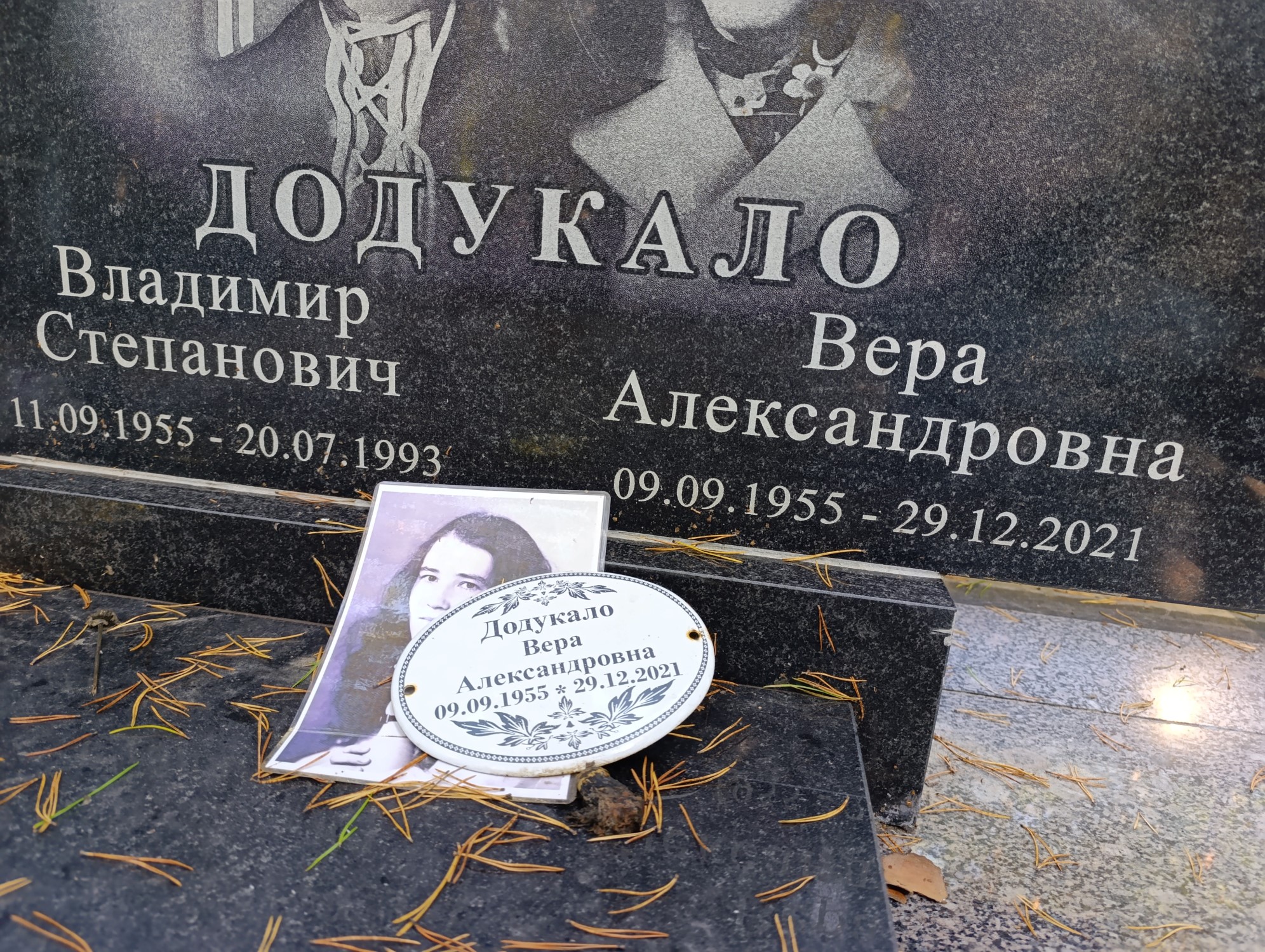 Додукало Владимир Степанович