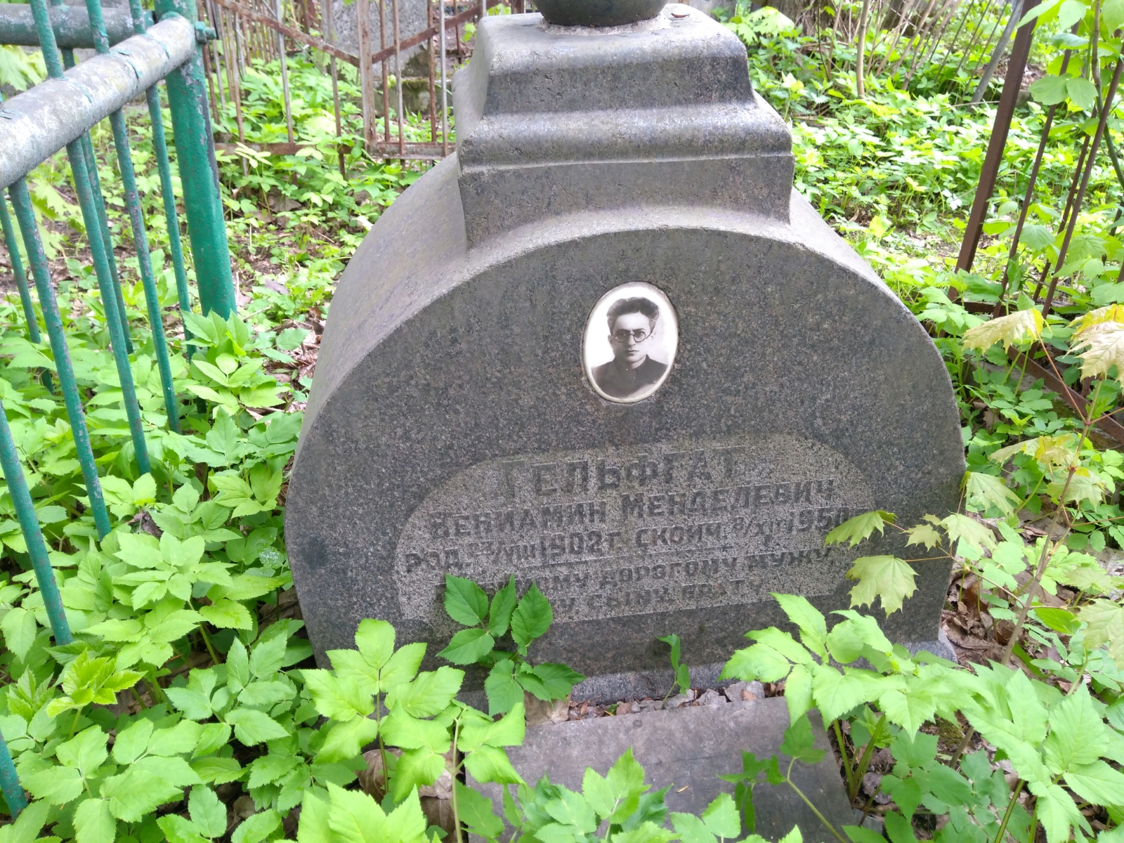 Гельфгат Вениамин Менделевич