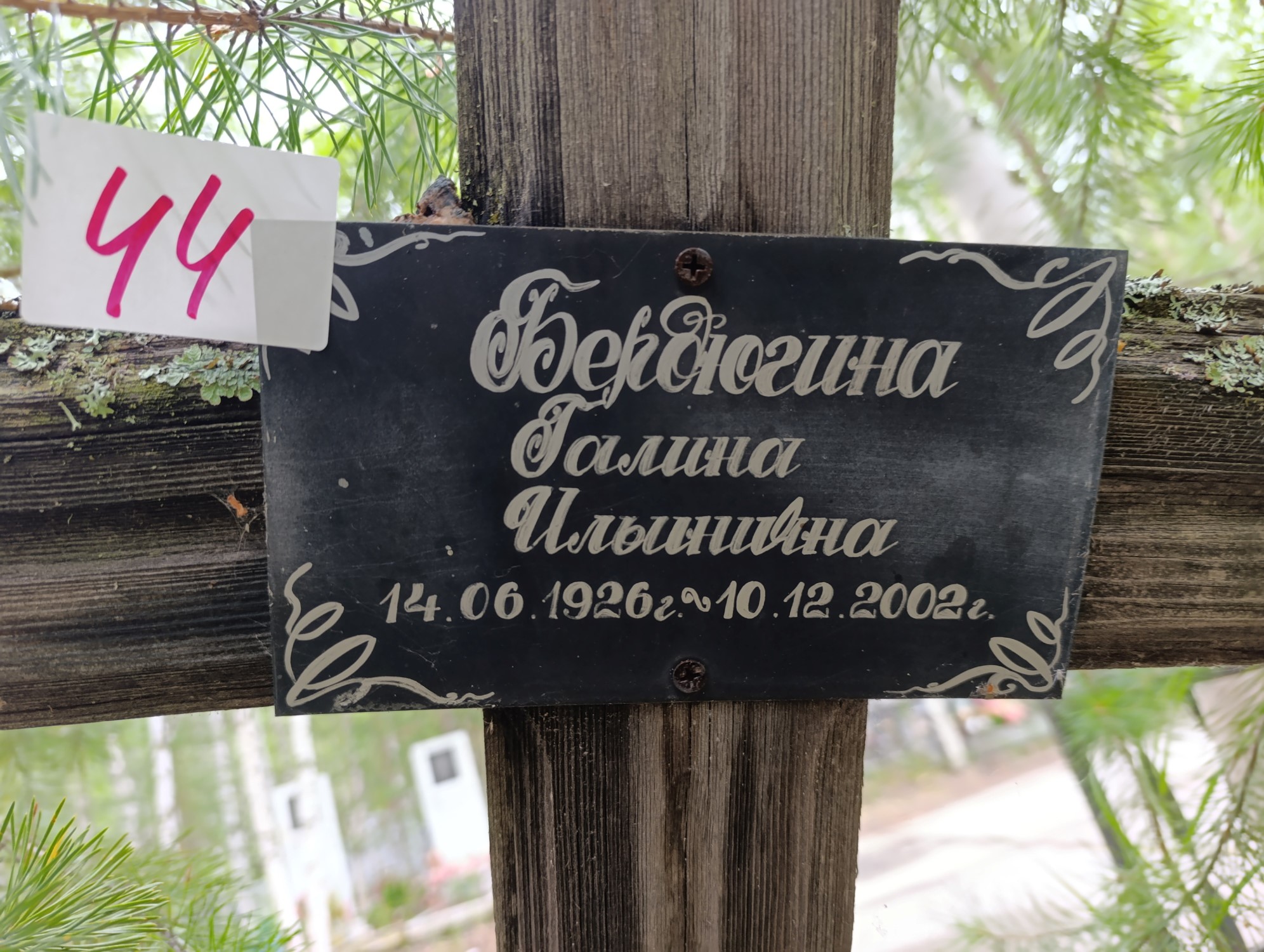 Бердюгина Галина Ильинична