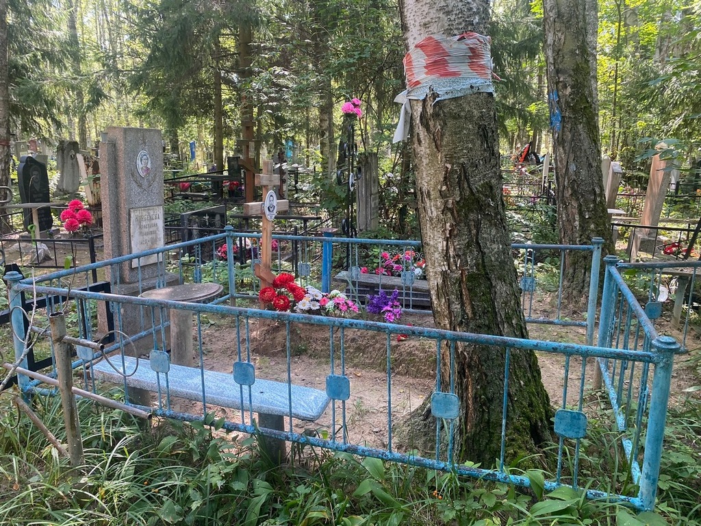 Софронова Любовь Александровна