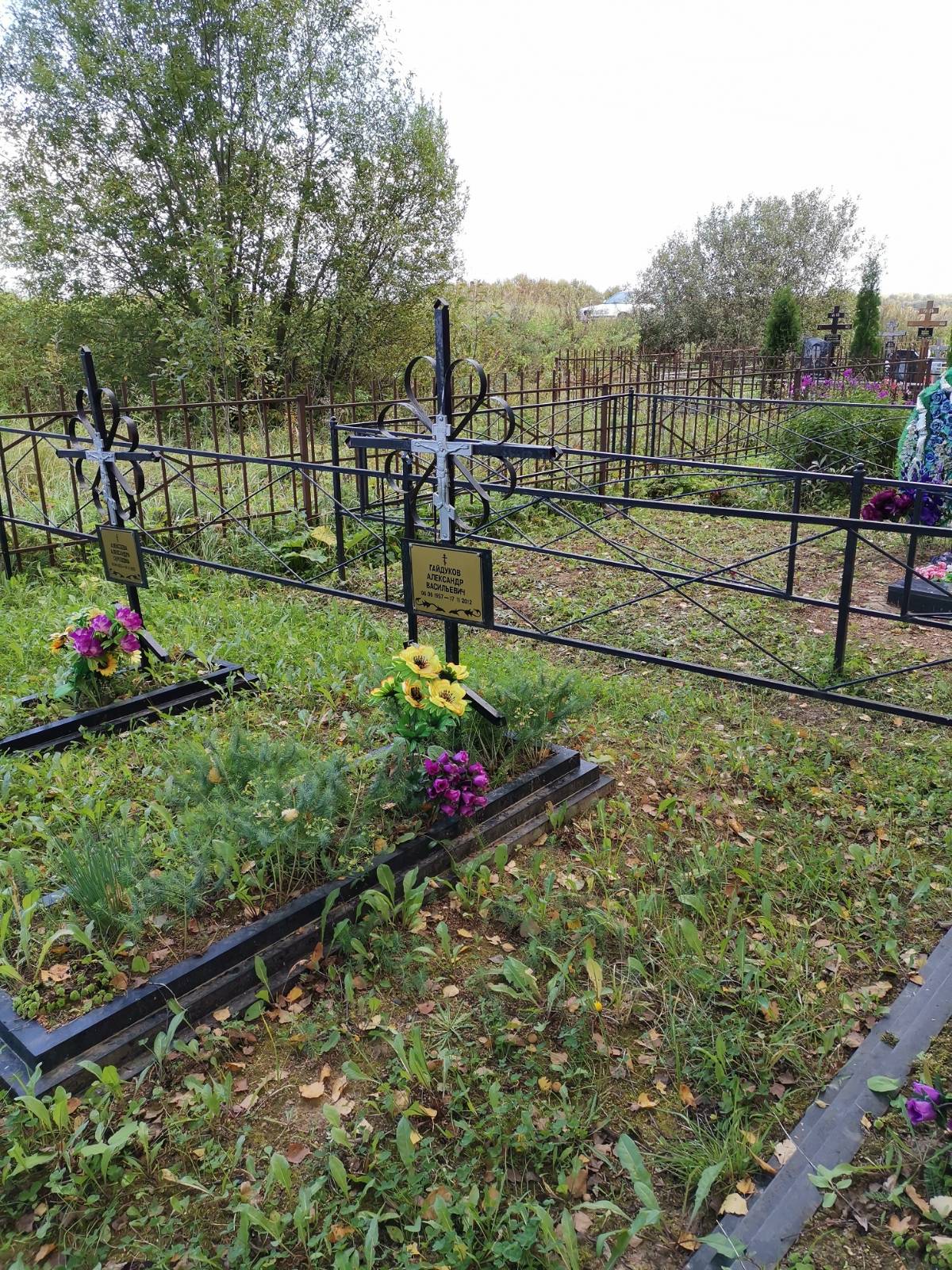 Гайдуков Александр Васильевич